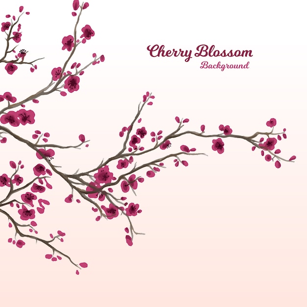 Vettore gratuito sfondo di fiori di ciliegio in stile inchiostro