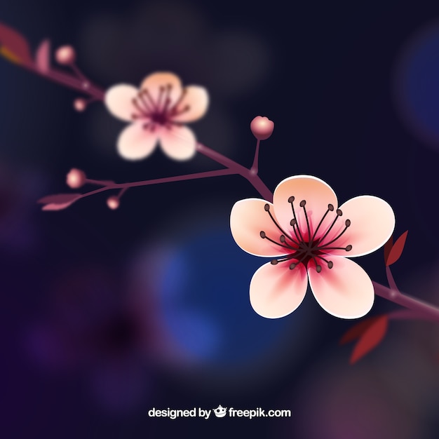 Cherry blossom background in realistic style