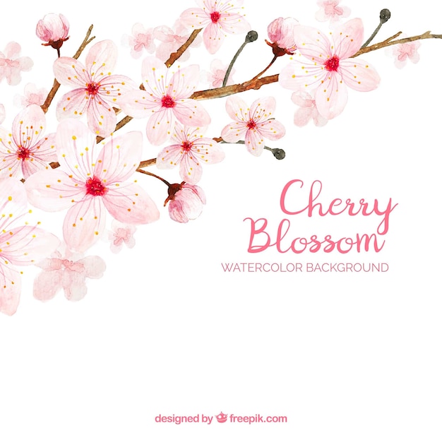 水彩スタイルの桜の背景