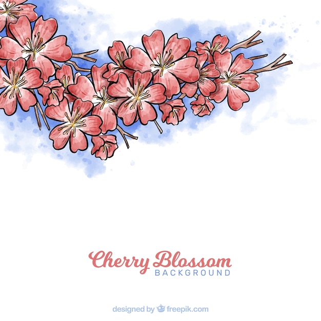 Cherry blossom background in watercolor style