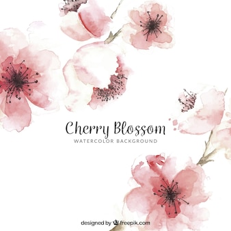 Cherry blossom background in watercolor style