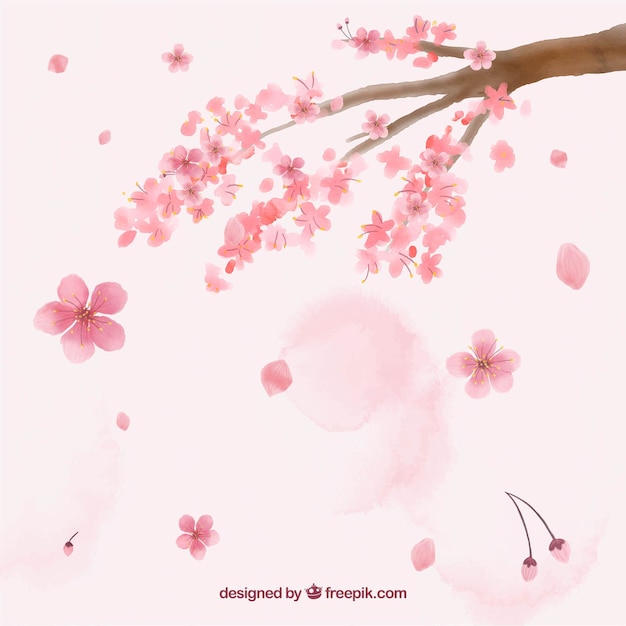 Free vector cherry blossom background in watercolor style