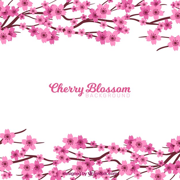 Cherry blossom background with branches on top and bottom