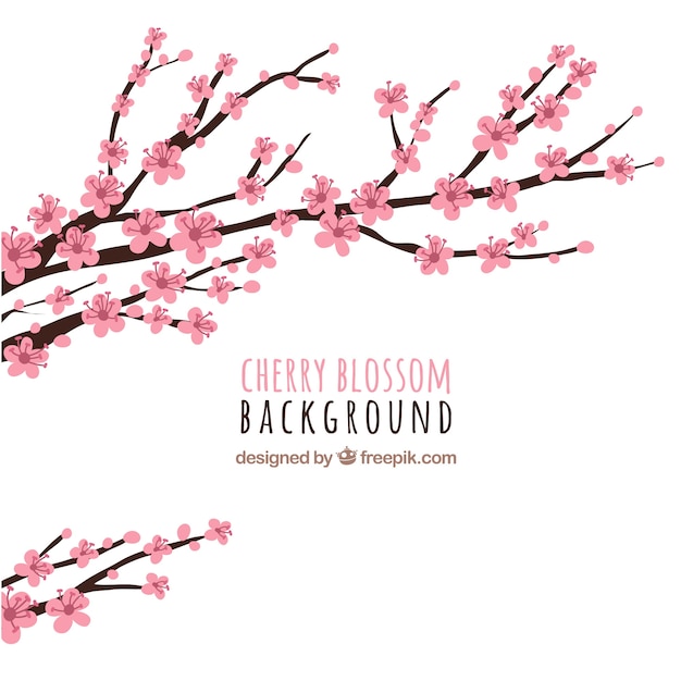 Free vector cherry blossom background with branches