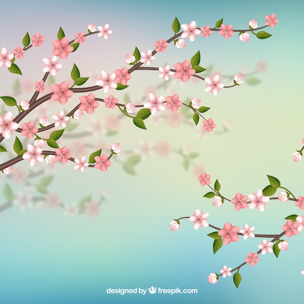 Free vector cherry blossom background with branches