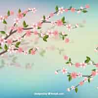 Бесплатное векторное изображение Вишневый цветной фон с ветвями