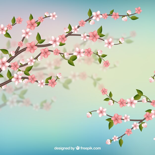 Cherry blossom background with branches