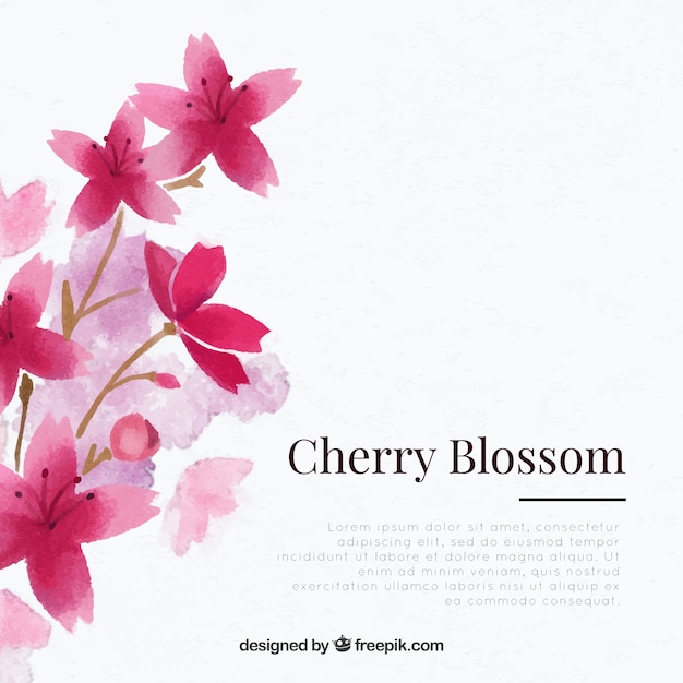 Cherry blossom background with floral watercolor