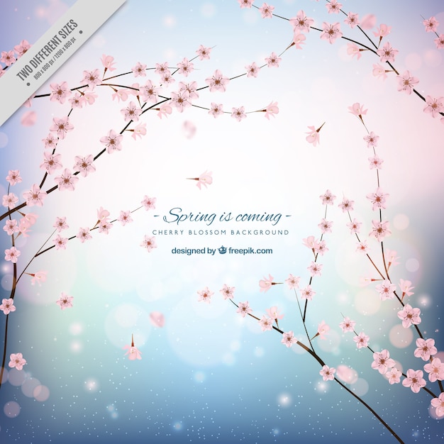 Free vector cherry blossom background with shiny shapes