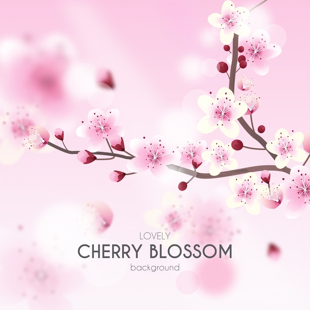 Cherry Blossom Background