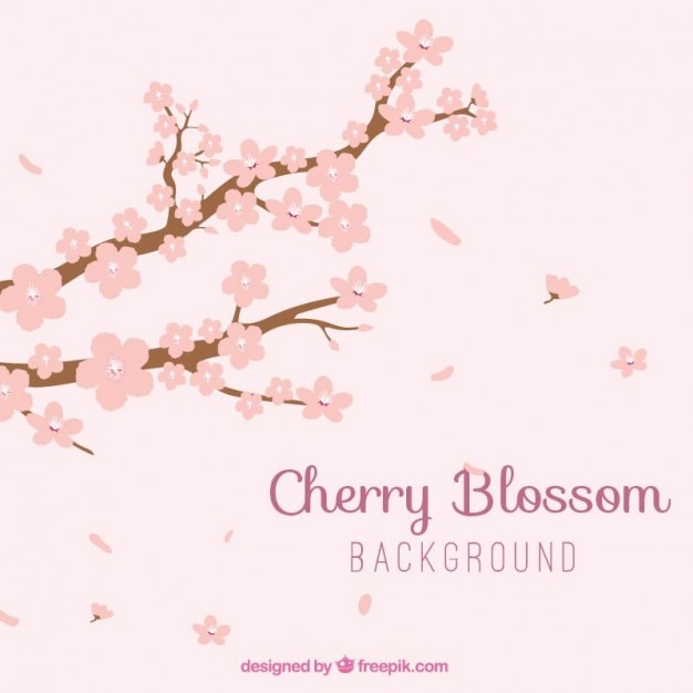 Cherry blossom background