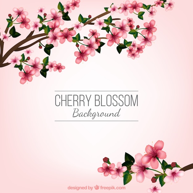 Free vector cherry blossom background