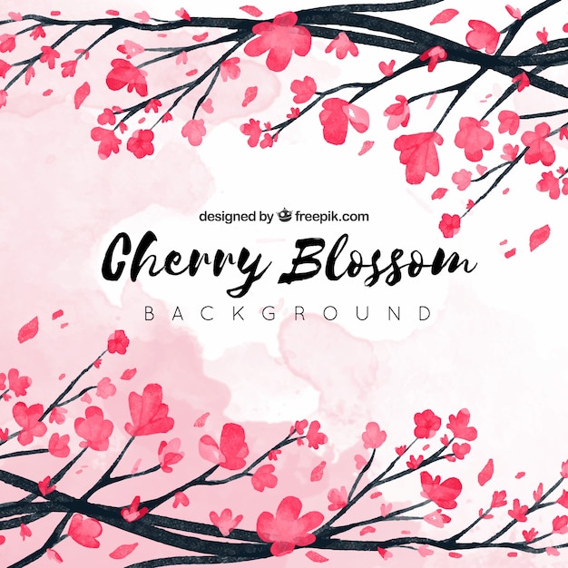 Free vector cherry blossom background