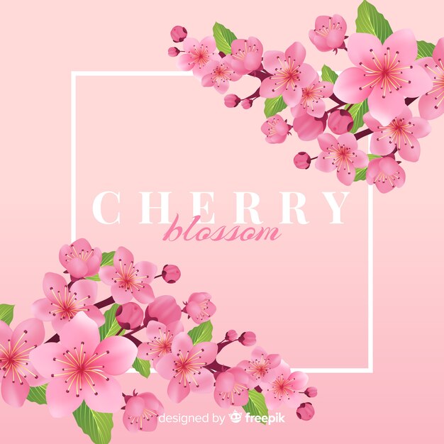 Cherry blossom background