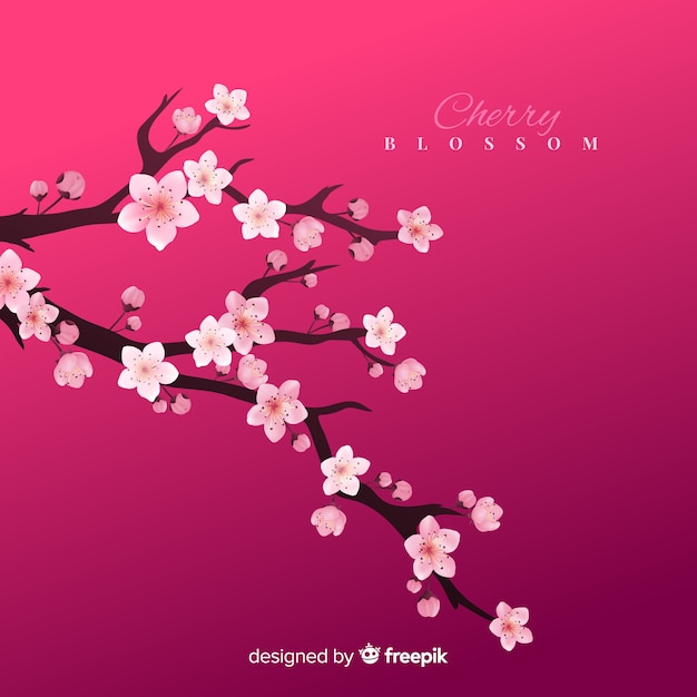 Free vector cherry blossom background