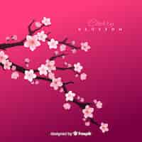 Free vector cherry blossom background