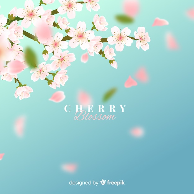 Free vector cherry blossom background