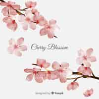 Free vector cherry blossom background