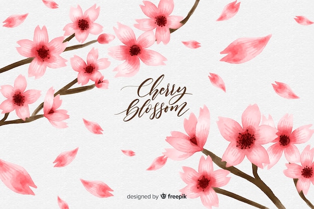 Cherry blossom background