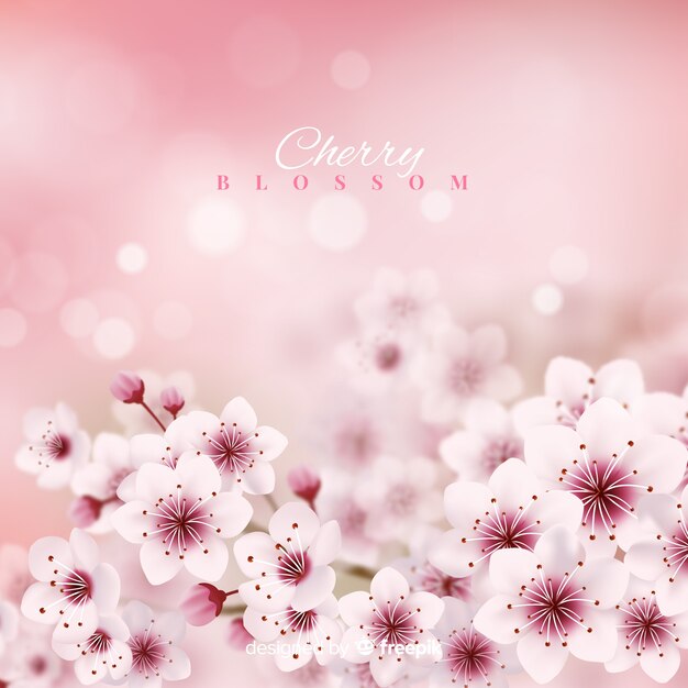 Cherry blossom background