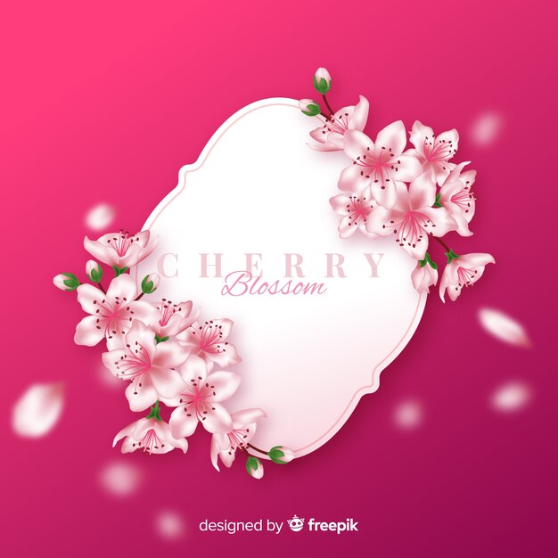 Cherry blossom background