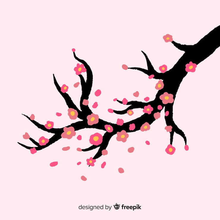 Free Vector cherry blossom background