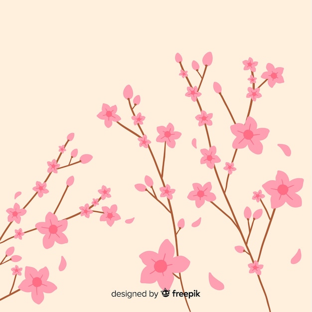 Cherry blossom background