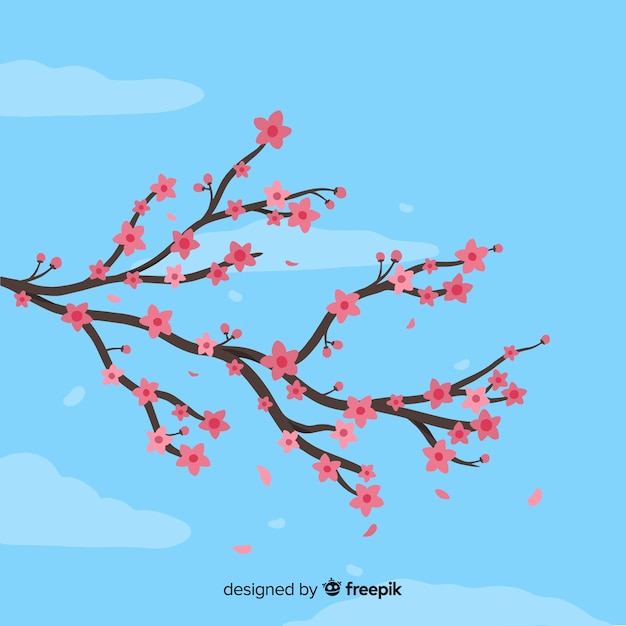 Cherry blossom background