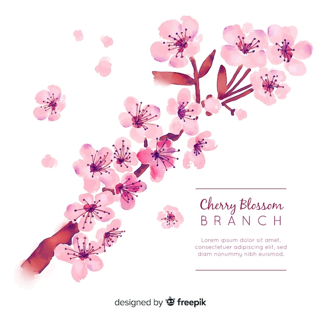 Free vector cherry blossom background