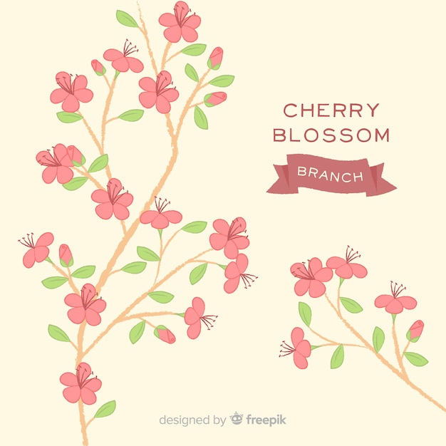 Cherry blossom background