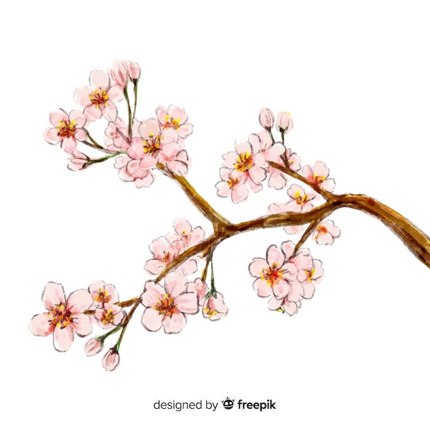 Vettore gratuito sfondo di fiori di ciliegio