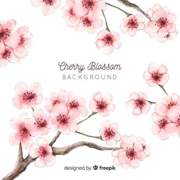 Free vector cherry blossom background