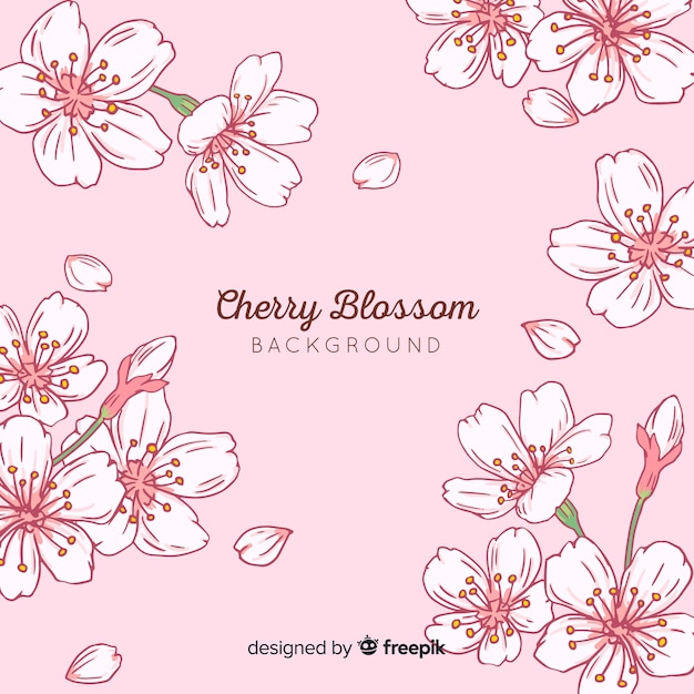 Free Vector cherry blossom background