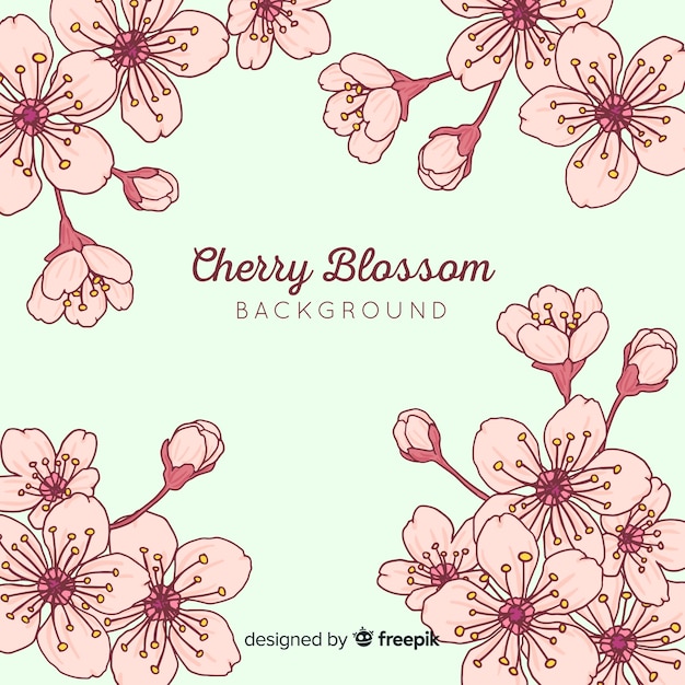 Cherry blossom background