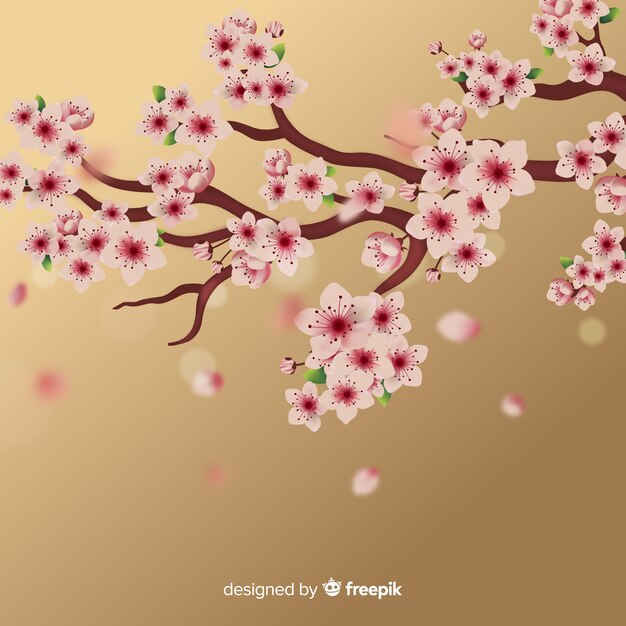 桜の枝の背景