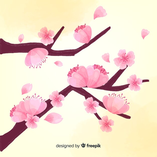 Cherry blossom branch background