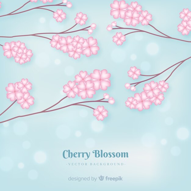 Cherry blossom branch collection