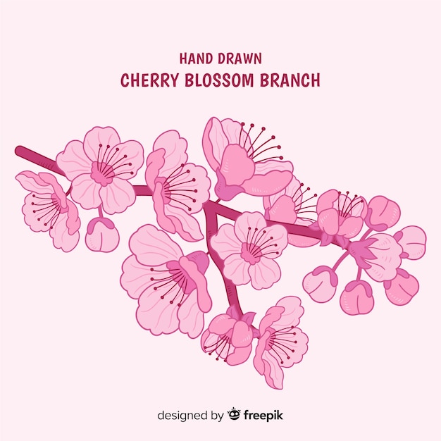 Free vector cherry blossom branch collection