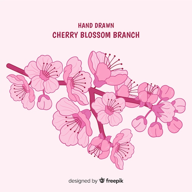 Cherry blossom branch collection