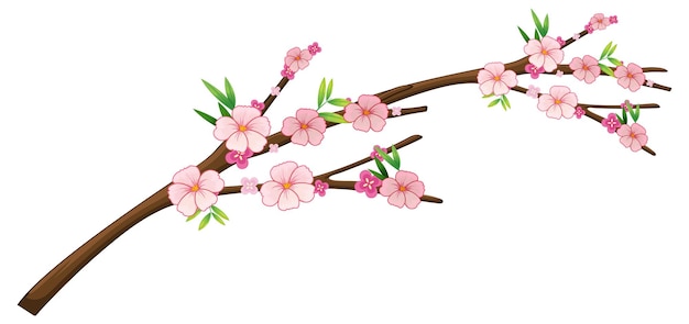 Free vector cherry blossom branch isolated