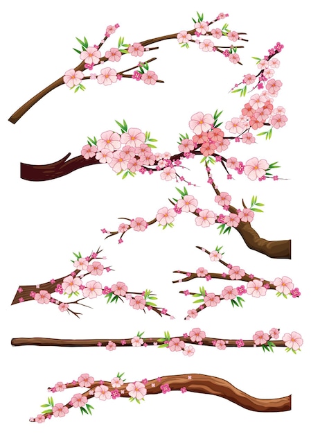 Free vector cherry blossom branch isolated