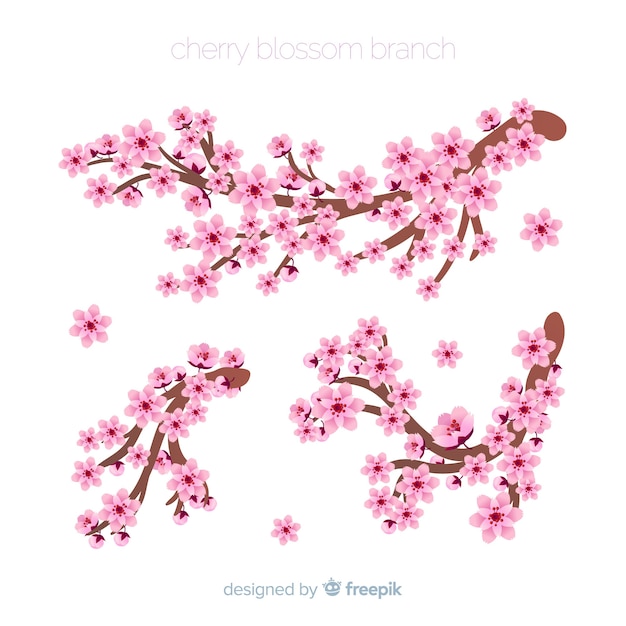 Cherry blossom branch pack