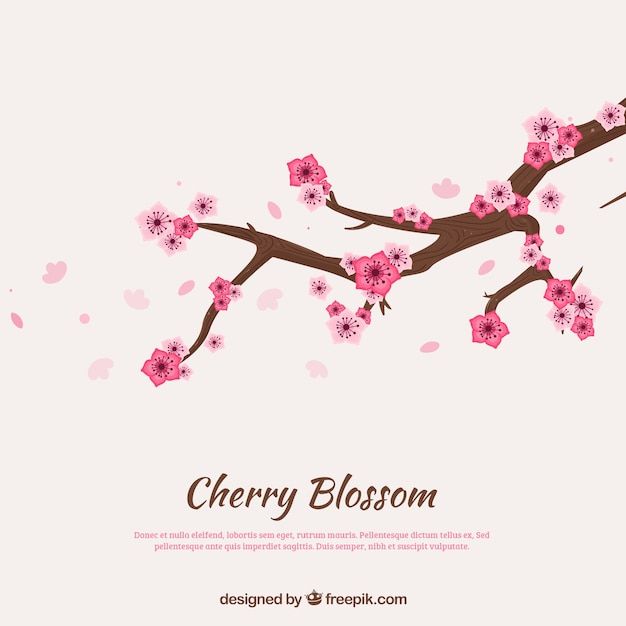 Cherry blossom card