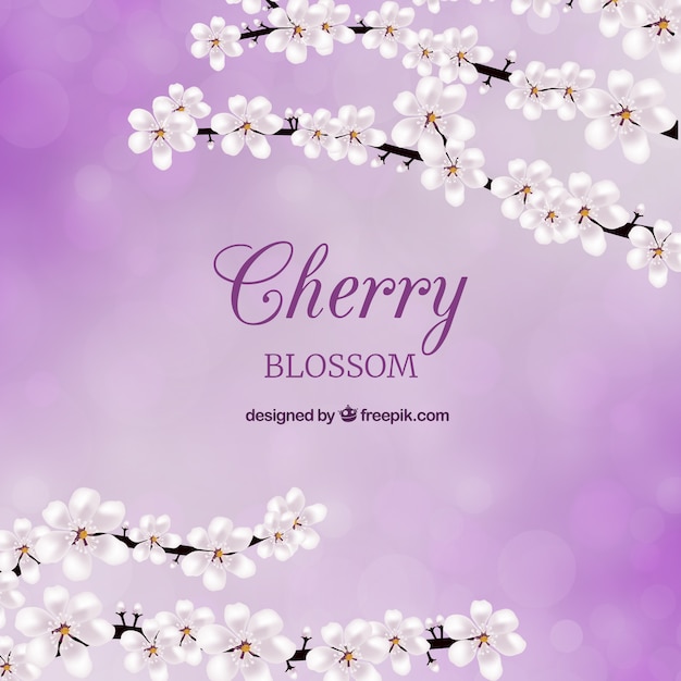 Cherry blossom card