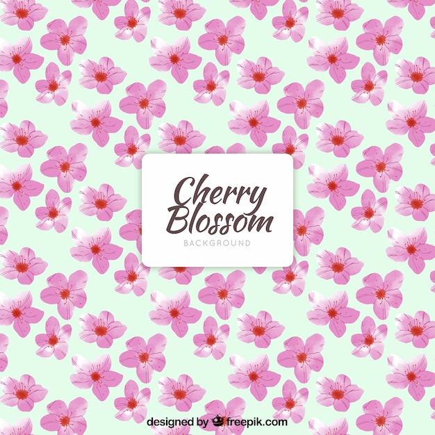 Cherry blossom flat background