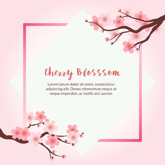 Cherry blossom frame background