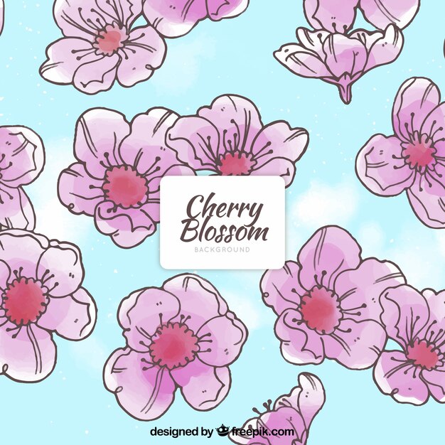 Cherry blossom hand drawn background