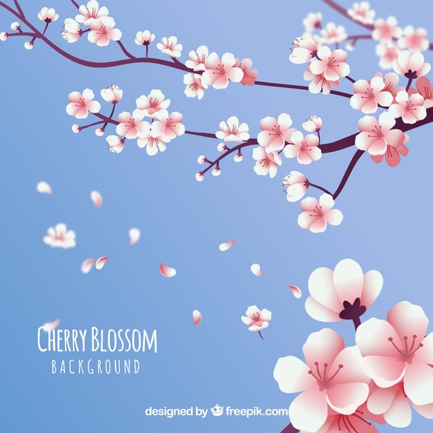 Cherry blossom petals background in realistic style