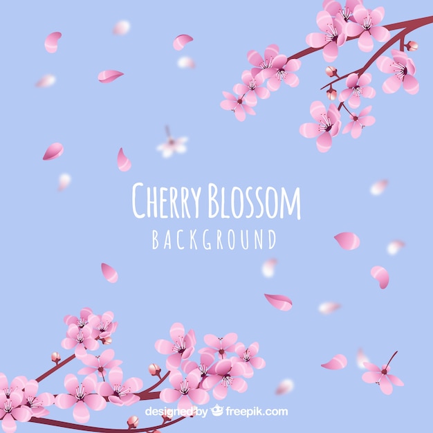 Cherry blossom petals background in realistic style