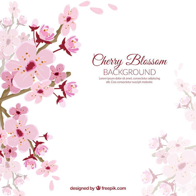 Cherry blossom petals background in realistic style